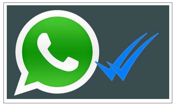 el-doble-check-azul-de-whatsapp-si-tiene-solucion